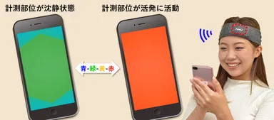 写真5：ブレインメーター