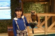 デジタル(映像)とリアル(動物たち)を融合した教育エンターテイメント「五感体感プロジェクト」を大阪の動物カフェ「Animeal(アニミル)」にて5月13日開始！
