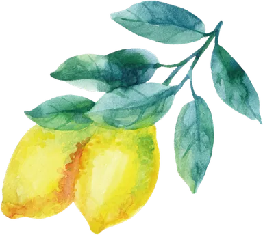 レモンイラスト