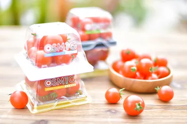 オスミック高糖度ミニトマト