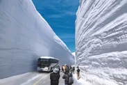 バスが小さく感じる、圧巻の大谷の雪壁