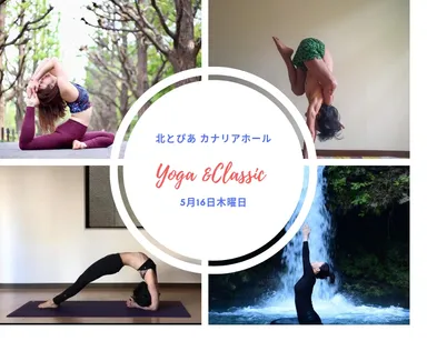 ヨガインストラクター