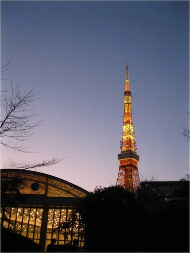 店舗からの夜景東京タワー イメージ