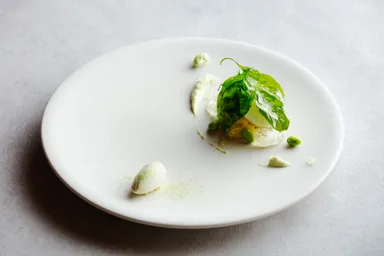 【軽井沢ホテルブレストンコート】デセール・ド・クルール：緑：2品目：木洩れ陽の中_01