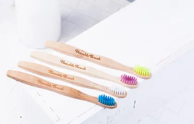 Ｈｕｍｂｌｅ Ｂｒｕｓｈ