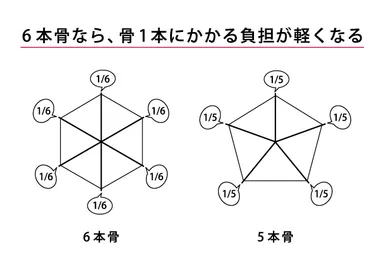 カーボン6本骨で丈夫