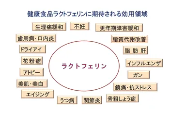 ラクトフェリン効用図