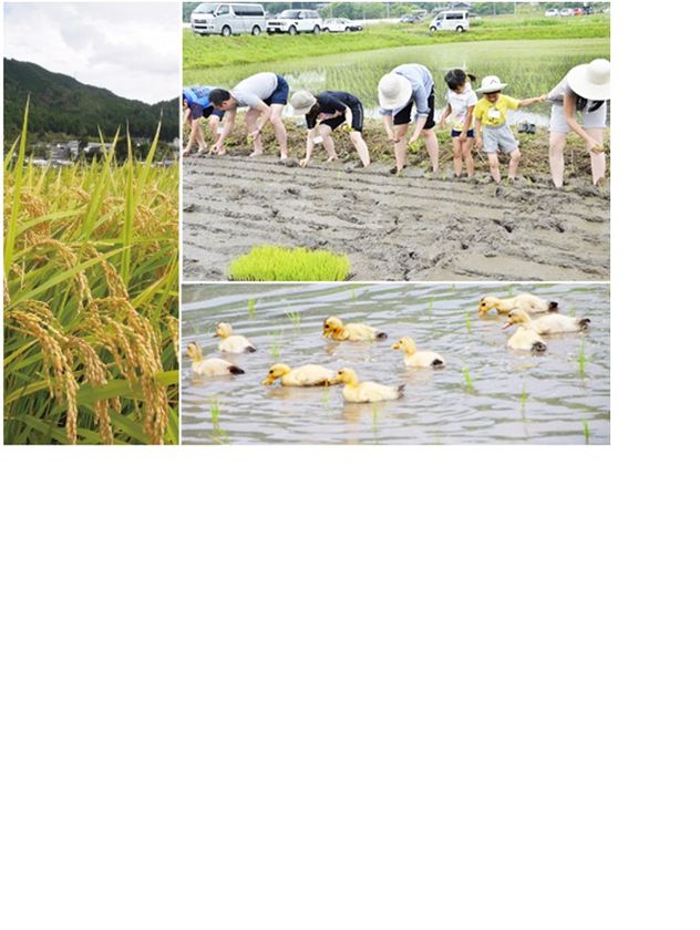 有機野菜の「ビオ・マルシェの宅配」、
6月9日(日)、「田植え体験in大阪・能勢」を開催