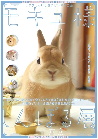 キービジュアル(縦)