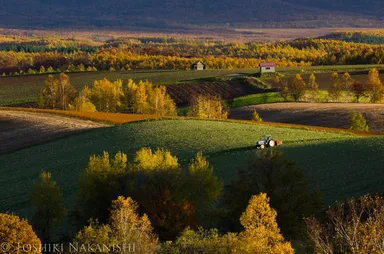 美瑛の美しい農業景観１