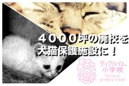 日本初！廃校(敷地面積4,000坪)をリノベーションした「犬猫保護シェルター」プロジェクト開始
