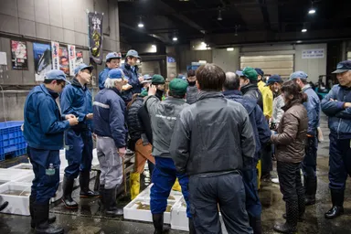 大阪市中央卸売市場　セリの風景