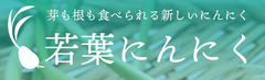 株式会社GEEK
