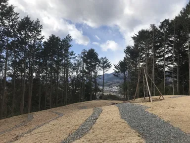 樹林葬墓苑の区画