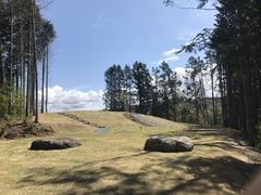 洞岩寺樹林葬墓苑