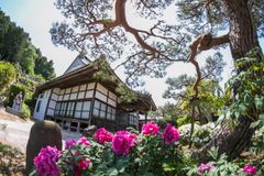 洞岩寺本堂
