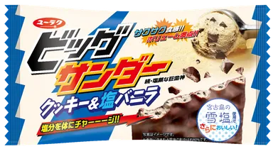 ビッグサンダークッキー＆塩バニラ