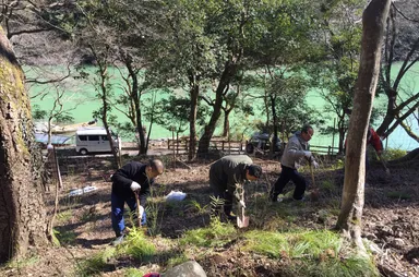 【星のや京都】過去のスタッフ植樹活動