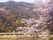 【星のや京都】春の嵐山と渡月橋