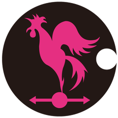 2018年の動画ブーム牽引した“TikTok”に関する
最新のSNSマーケティングセミナー 6/21梅田にて開催！