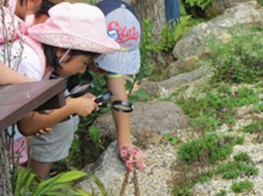 六甲高山植物園　夏休みの宿題解決イベント
「食虫植物のひみつ展」7/13（土）～開催！