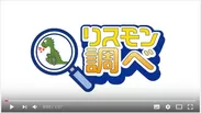 リスモン調べ動画キャプチャ