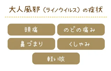 大人風邪(ライノウイルス)の症状