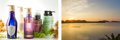 シャンプーバーと朝日