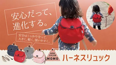新色momo登場