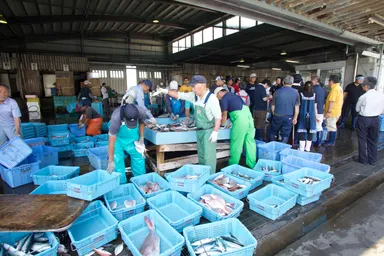 主な魚介を仕入れる浜松舞阪漁港