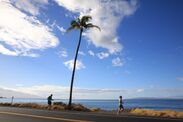 「マウイマラソン＆ハーフマラソン2019」のランナーを募集　景色の良いコーストップ10に選ばれたハワイの大会！