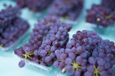 G-Grape farmのぶどう