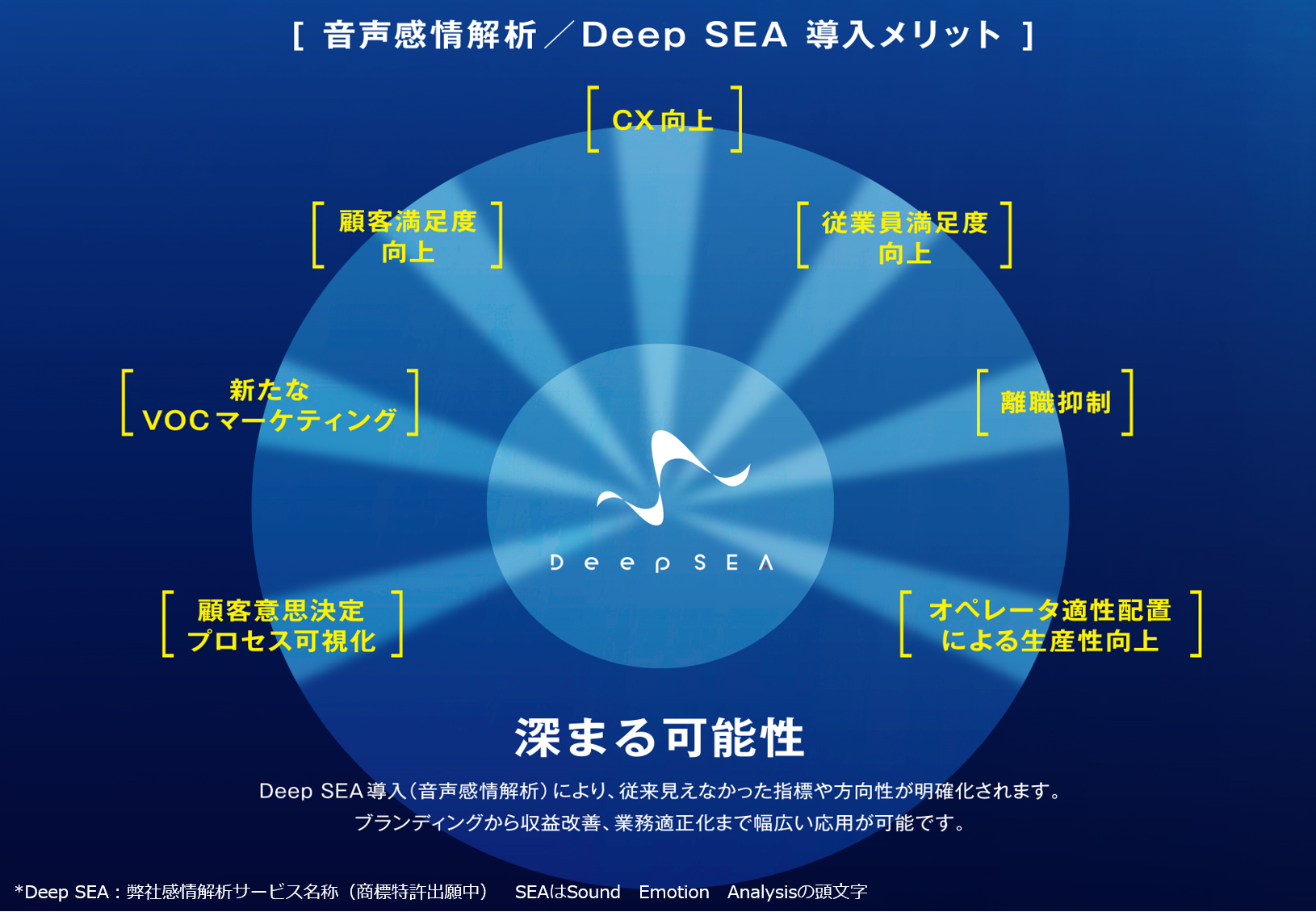 Deep SEA導入メリット