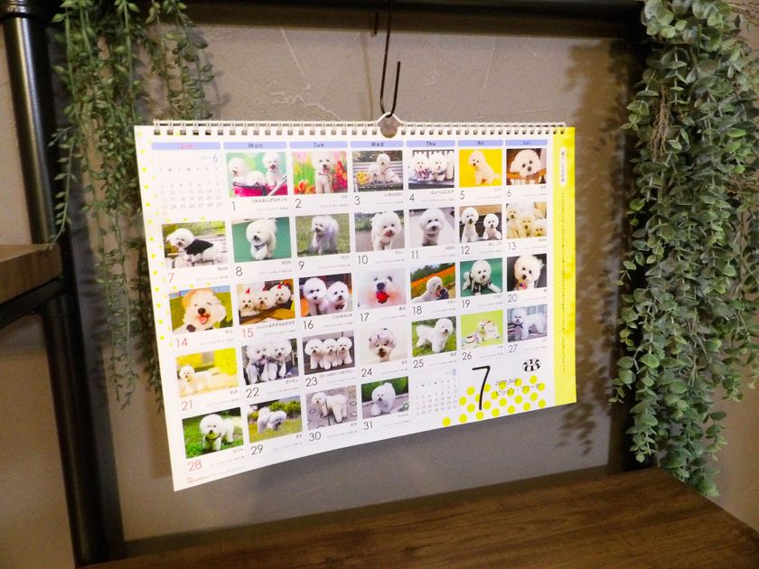 自慢のワンちゃん ネコちゃんにカレンダーデビューのチャンス みんなで完成を目指す参加型カレンダー 6月 15日 土 よりエントリー受付開始 株式会社エーエスピーのプレスリリース