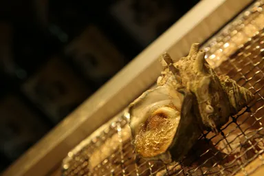 サザエの壺焼き