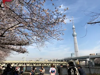 浅草は成田空港、羽田空港のどちらからも直通電車が通っている