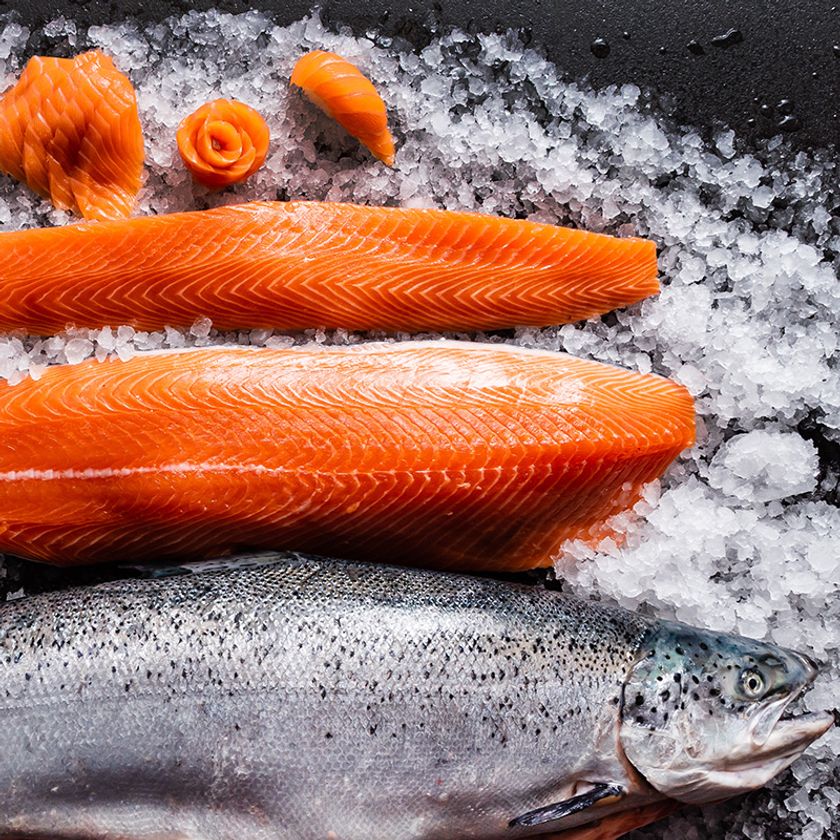 ダイエットと健康に関する最新レポートをmicrodiet.netにて公開　
『海のスーパーフード 鮭のダイエット効果』