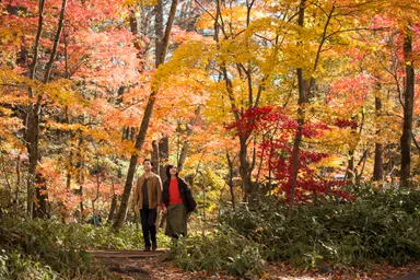 【星野エリア】「軽井沢よくばり秋散歩プラン」メインカット
