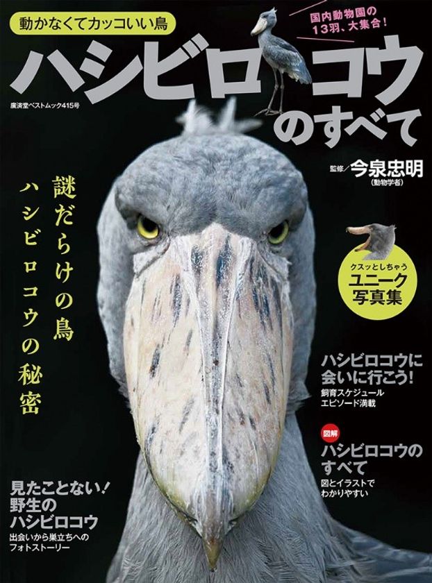 大人気の ハシビロコウ でまるまる一冊 廣済堂ベストムック ハシビロコウのすべて 19年5月30日 木 全国書店で発売スタート 株式会社 廣済堂出版のプレスリリース