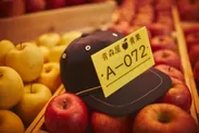 【青森屋】りんごの競り体験　ナンバープレート付き帽子
