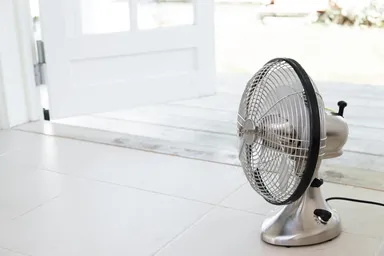 シルバースワン