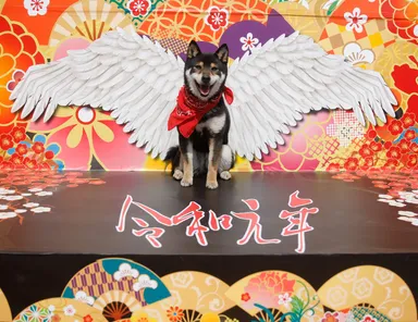 フォトスポットも登場