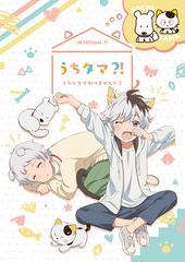 「うちタマ？！ ～うちのタマ知りませんか？～」TVアニメ化決定！2020年1月より、フジテレビ“ノイタミナ”ほかにて放送予定