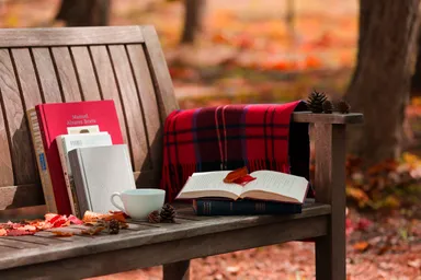 【星野エリア】「紅葉図書館」読書チェアイメージ