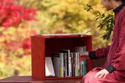 【星野エリア】「紅葉図書館」紅葉と本棚