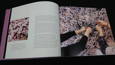 「Flower Forever」掲載記事