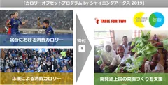 プログラム概要