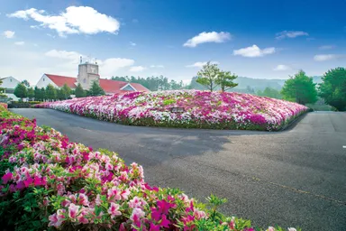 サンロイヤルゴルフクラブ(2)