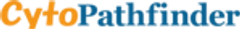 株式会社サイトパスファインダーのロゴ