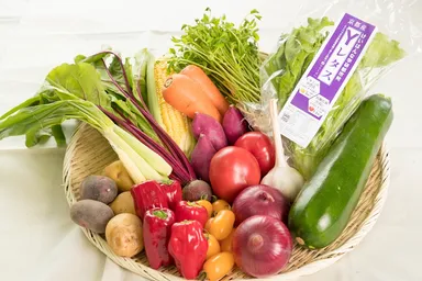 世界初の高機能野菜